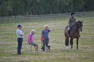 ERC Summer Dressage