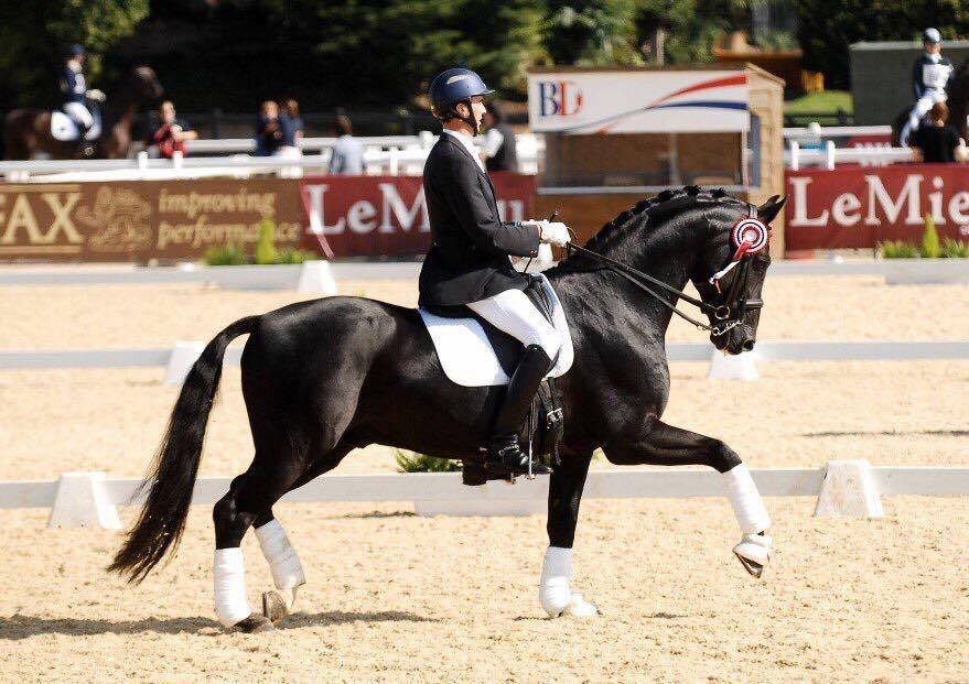 Owen Cooper Dressage